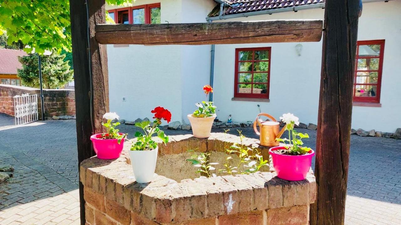 Fockelberg Luxus Appartement Im Schloss المظهر الخارجي الصورة