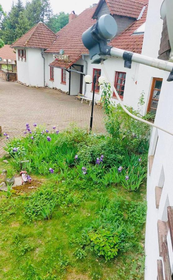 Fockelberg Luxus Appartement Im Schloss المظهر الخارجي الصورة